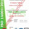 Get ISO 14001:2015 Certification With MMS LLC
