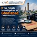 Top Private Investigators In Ghaziabad &ndash; AMX Detectives