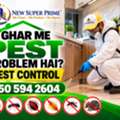 🟩 Insect & Rodent Solutions Khobar • Complete Pest Services 🟩 050 594 2604*!