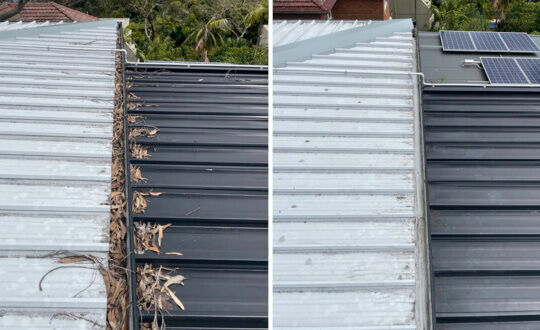 Sydney, Business, Gutter Cleaning Co.