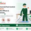 Commercial Pest Control Services In Kolkata For Businesses