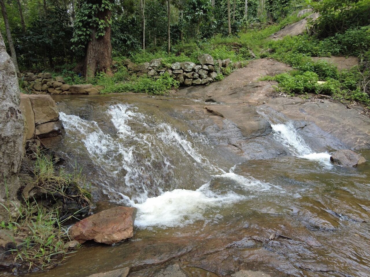 Chennai, Real Estate, Kolli Hills Resorts Family Rooms | Kollimalai Room Booking