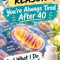 Why You're Always Tired At 2 PM (And How To Fix It