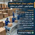 براتب 14000 مطلوب عمال تعبئة وتغليف لمصنع كرتو