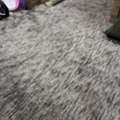 QAR 400,  Carpet For Immediate Sale