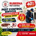 Rubeena Pest Control Services Book Now Big Offer