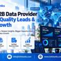 Global B2B Data Provider For High-Quality Leads & Sales Growth
