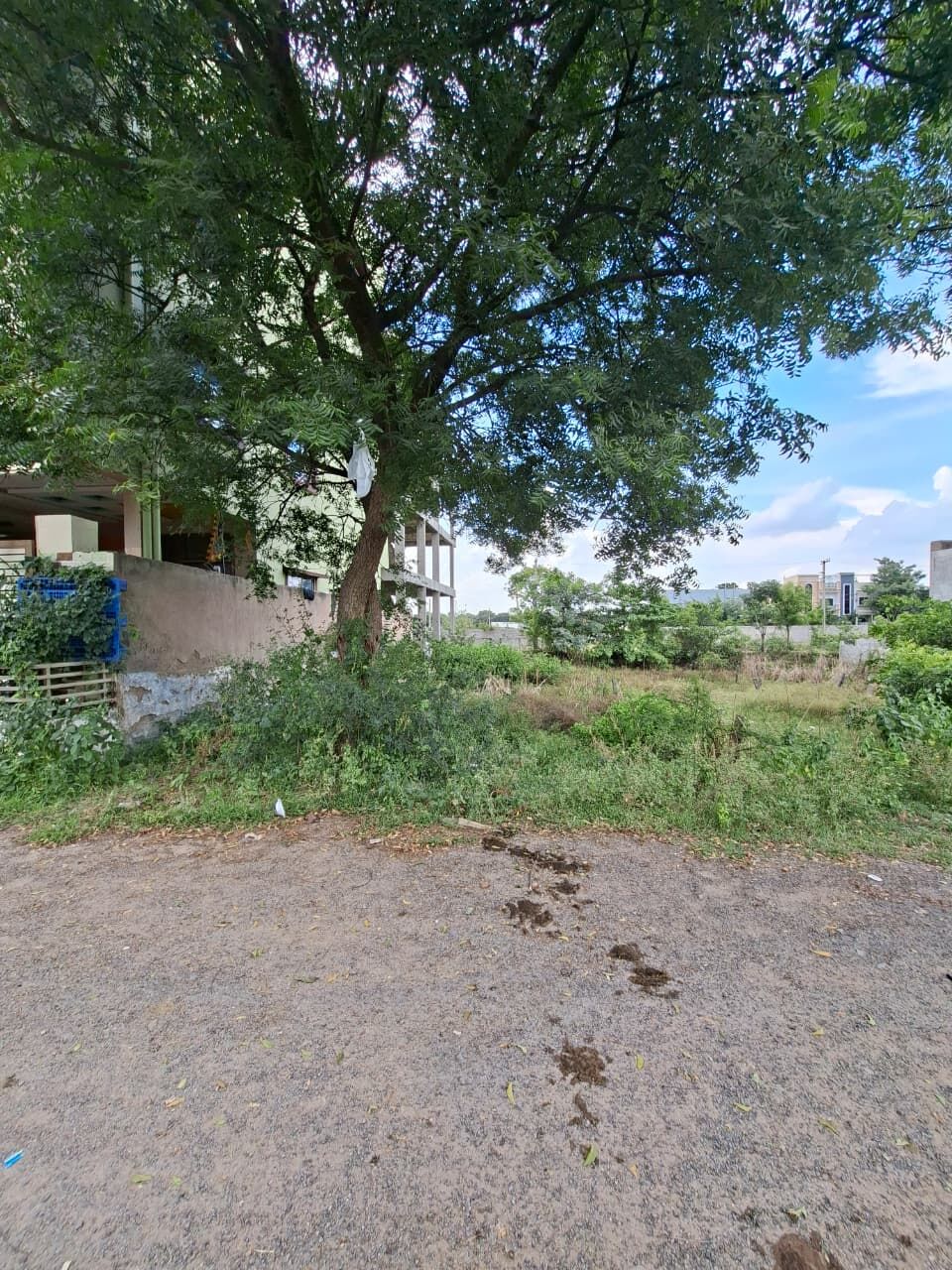 Hyderabad, Residential Plots, INR 36500,  150 Sq. Yard,  Residential Open Plot For Sale 150 Sq. Yards