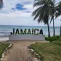 Experience The Best Of Jamaica With Private Tours In Montego Bay
