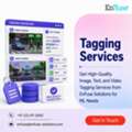 Get High-Quality Image, Text, And Video Tagging Services From EnFuse Solutions