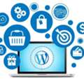 Professional WordPress Website Design In Delhi