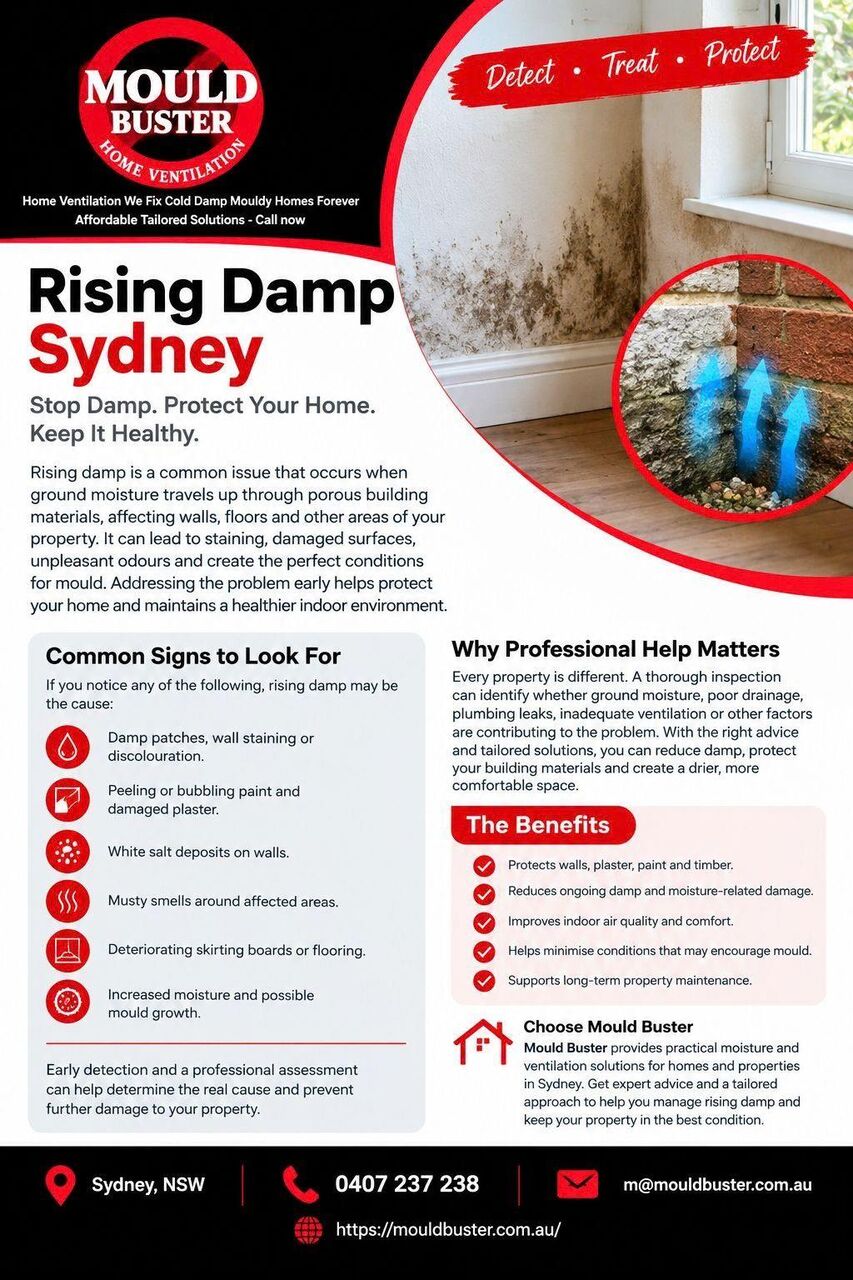 Sydney, Business, Rising Damp Sydney Solutions | Mould Buster Experts