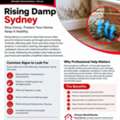 Rising Damp Sydney Solutions | Mould Buster Experts