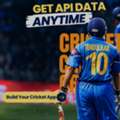 Cricket Live Api Provider | Latiyal Infotech