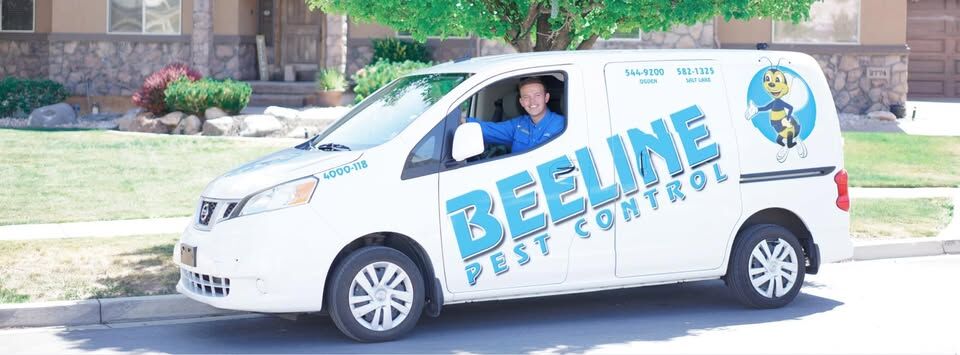 New York, Pest Control, Beeline Pest Control