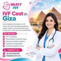 IVF Cost In Giza