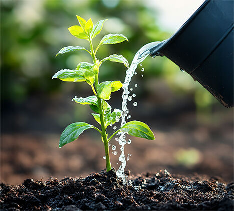 Bangalore, Marketing, Fertilizer Suppliers India