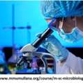 Microbiology Msc Courses