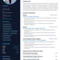 Looking For A Job