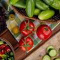 Vegetable Gardening Ideas In Rajasthan For Fresh Homegrown Vegetables