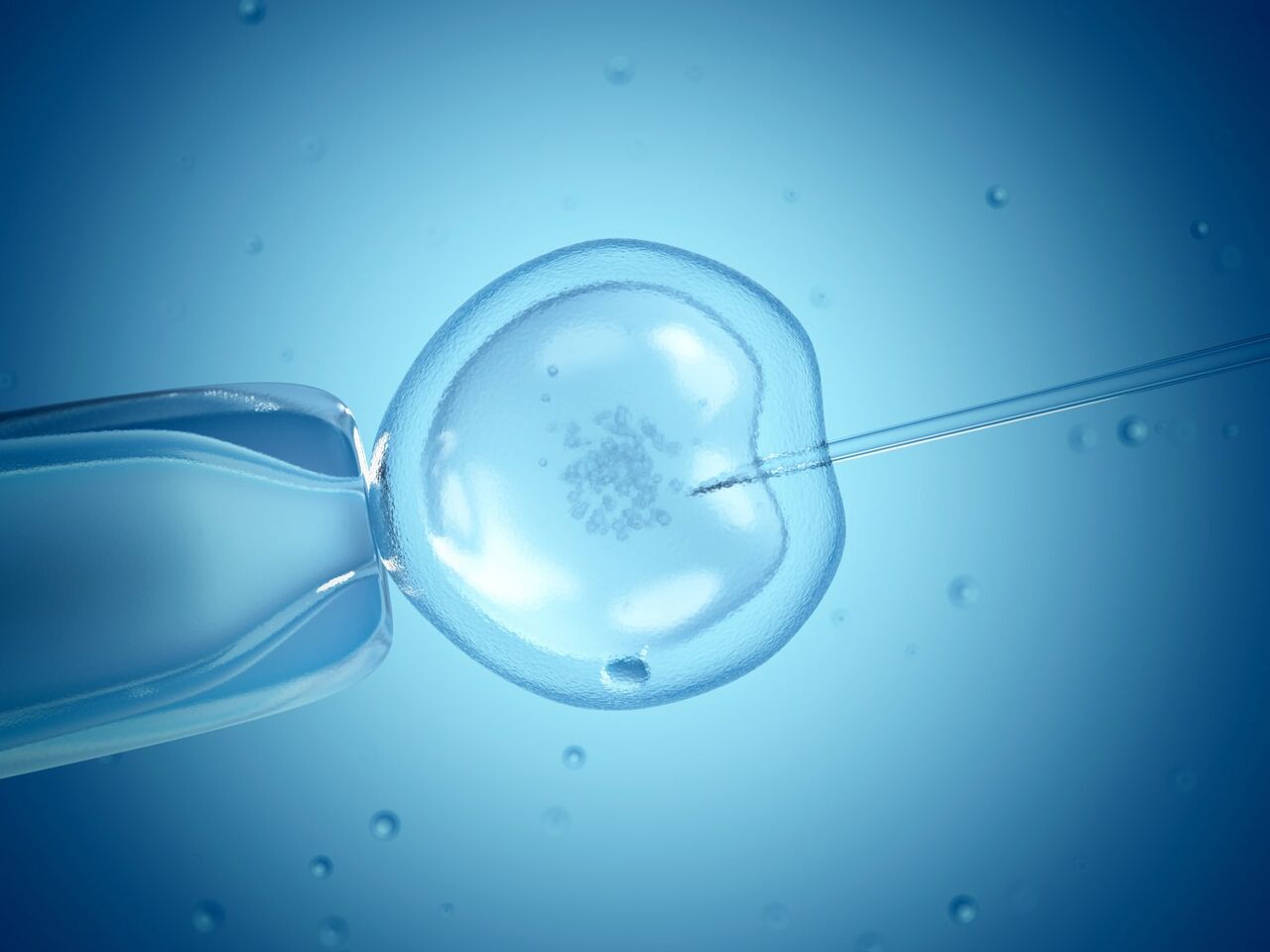 New Delhi, Legal, Donor IVF Treatment In Delhi With Personalized Fertility Care