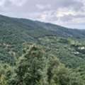 Luxury Villas In Mukteshwar For A Serene Escape
