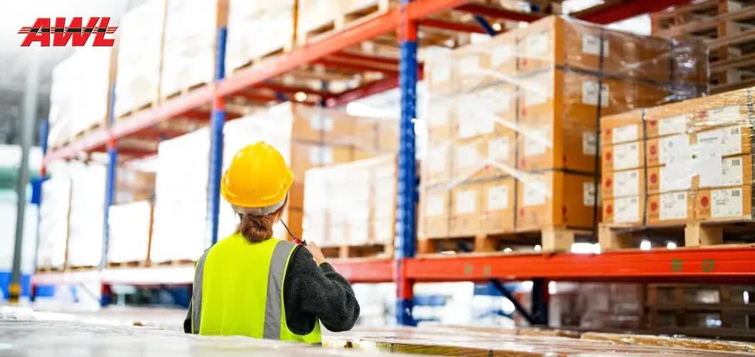 Gurugram, Cargo, AWL India