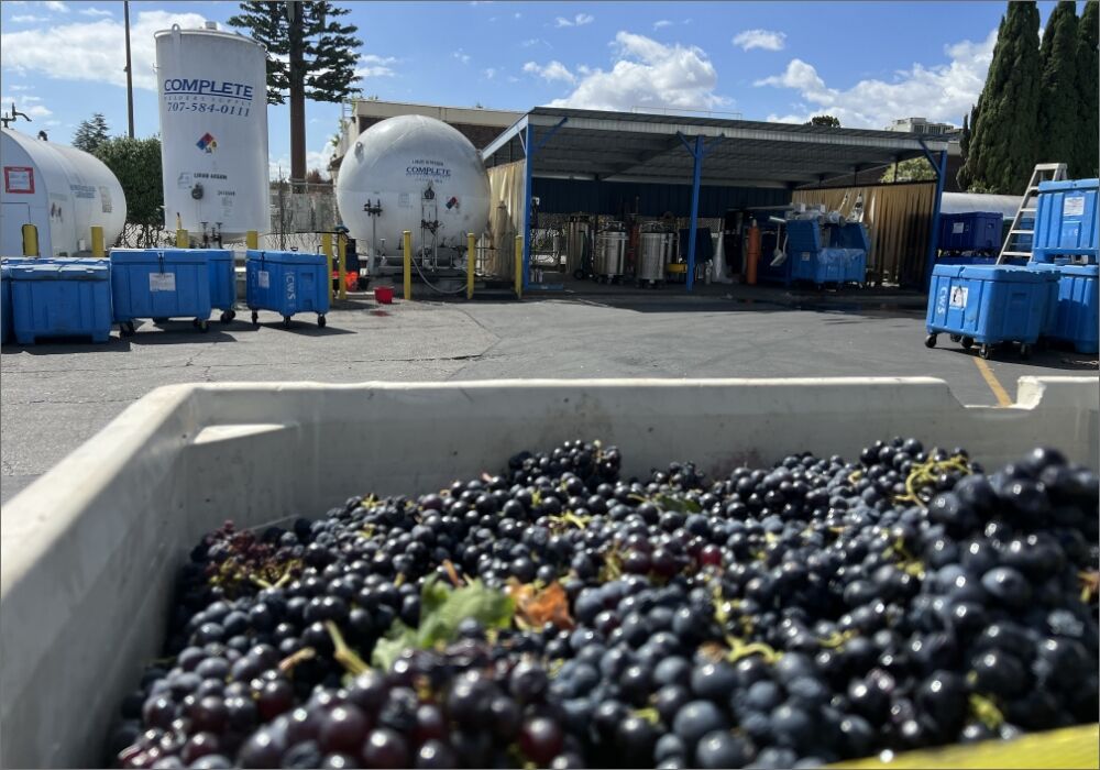 New York, Delivery, Bulk CO2 Suppliers Near Me Stockton | Industrial & Specialty Gas Suppliers
