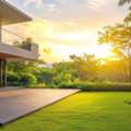 Fresh Natural Grass For Gardens, Lawns And Outdoor Spaces
