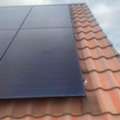 Professional Pest Proofing & Deterrent Services In Havant, Hampshire
