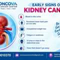 Early Signs Of Kidney Cancer: Symptoms You Should Know