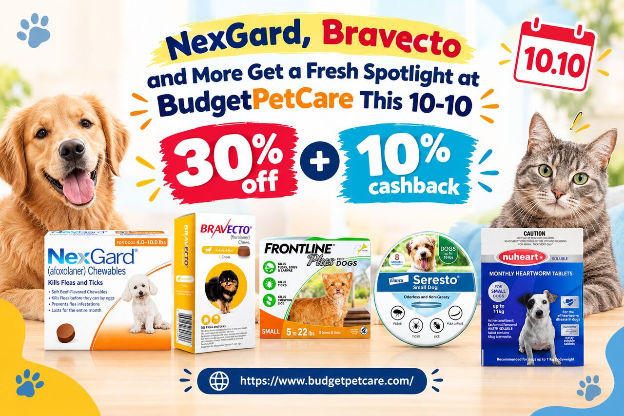 New York, Pet Supplies, NexGard, Bravecto And More Get A Fresh Spotlight At BudgetPetCare This 10-10