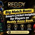 Big Match Buzz: Smart Cricket Insights For Players On Reddy Anna Book