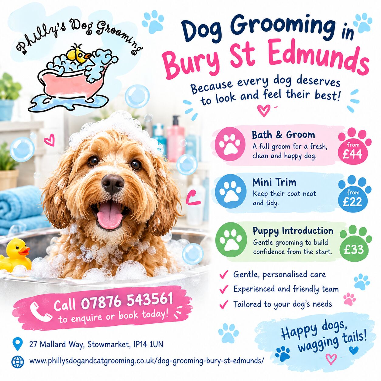 London, Pet Sitting, 🐶✨ Ready For A Pawsome Makeover? ✨🐾