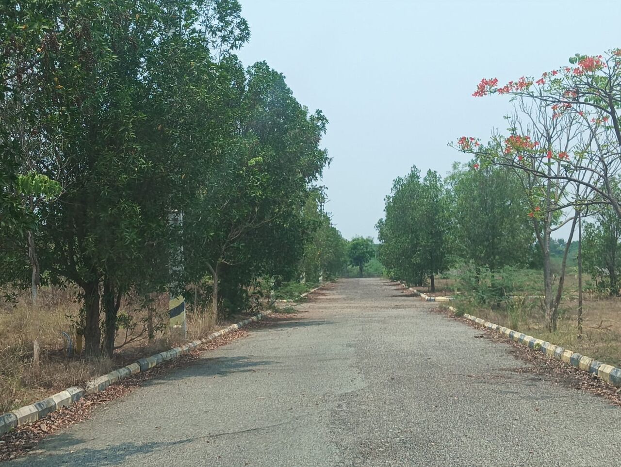 Hyderabad, Residential Plots, INR 25999,  225 Sq. Yard,  HMDA Plots For Sale In Ameerpet Near Mansanpally 9701498367
