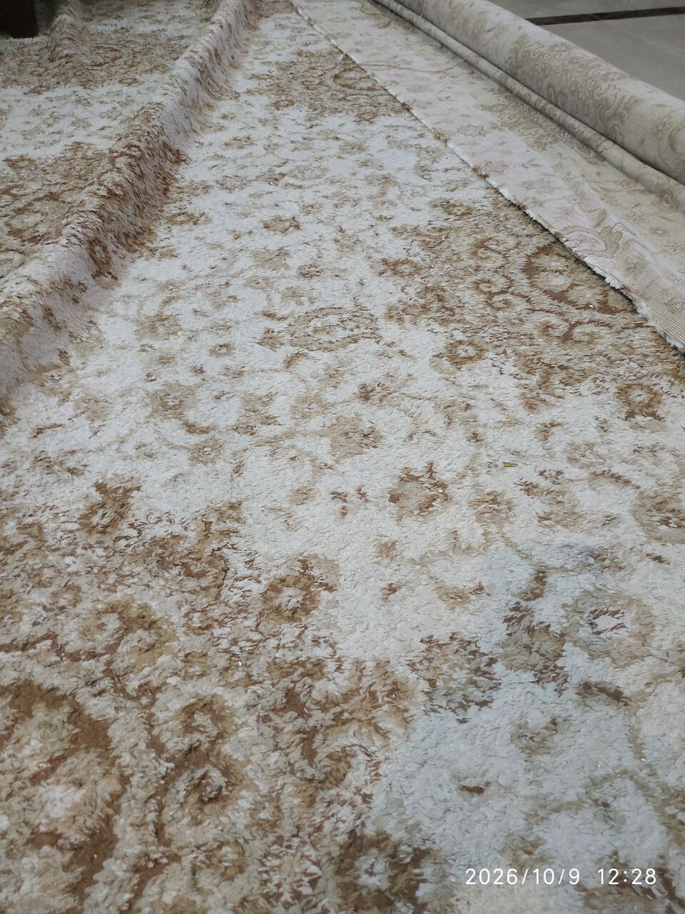 Al Iskan, Furniture, SAR 100,  Rugs Or Wall-to-wall Carpeting