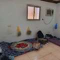 SAR 500/month,  Bed Space Available In Single Bed Room Plot,