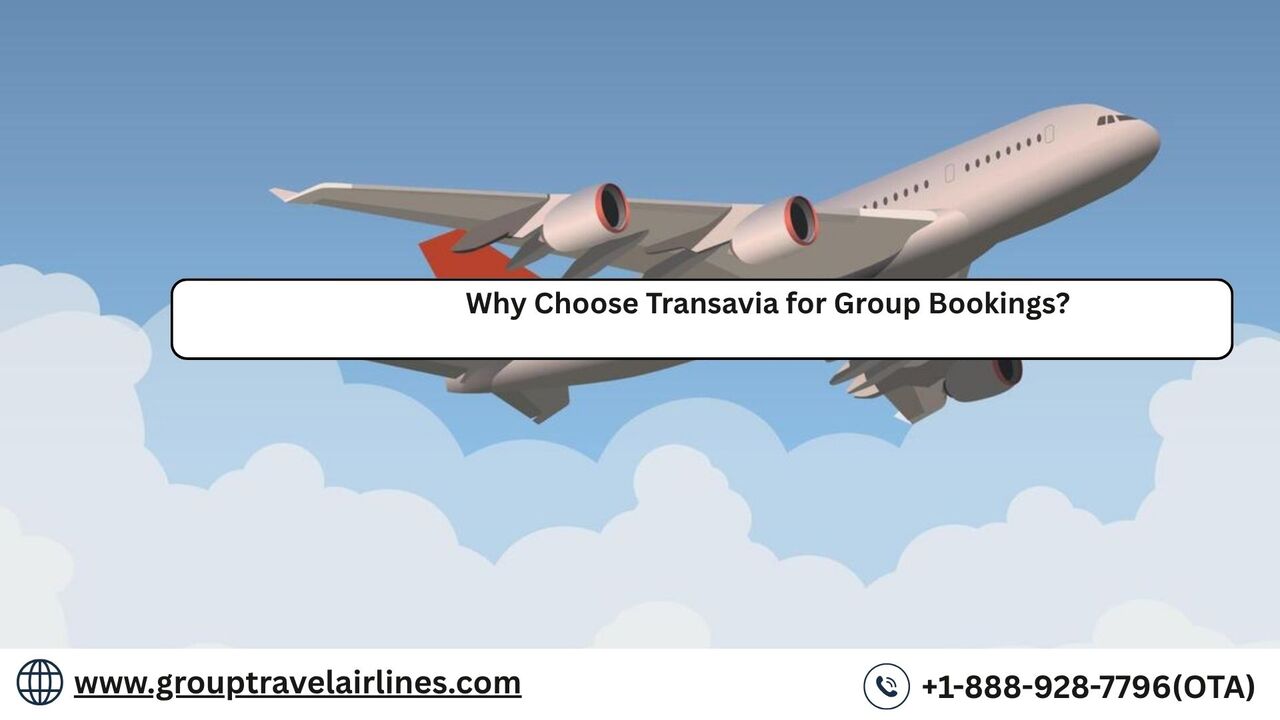 New York, Travel, Why Choose Transavia For Group Bookings?