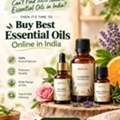 Best Essential Oil Online In India | Moksha Lifestyle
