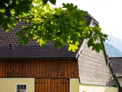 Jaipur, Real Estate, Is Whispering Woods Naugaon A Good Farmhouse Option?