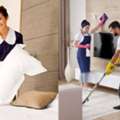 Maid Service Reviews For Every Household Need