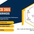 Maximize Value Through ERP Managed Services Solutions