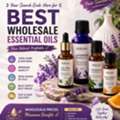Buy Best Essential Oil In Bulk For Your Business