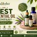 Best Essential Oil Company In India | Moksha Lifestyle
