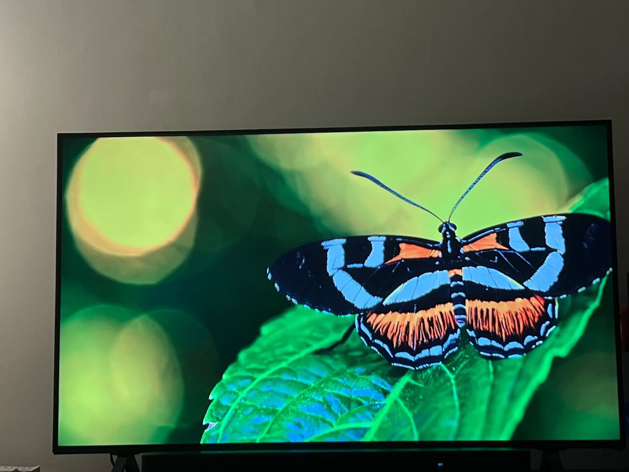 Madinat Al Ummal, Electronics, SAR 1500,  LG 55NANO75 55" TV