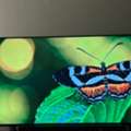SAR 1500,  LG 55NANO75 55" TV