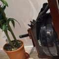 SAR 850,  JOROTO Wooden Water Rowing Machine