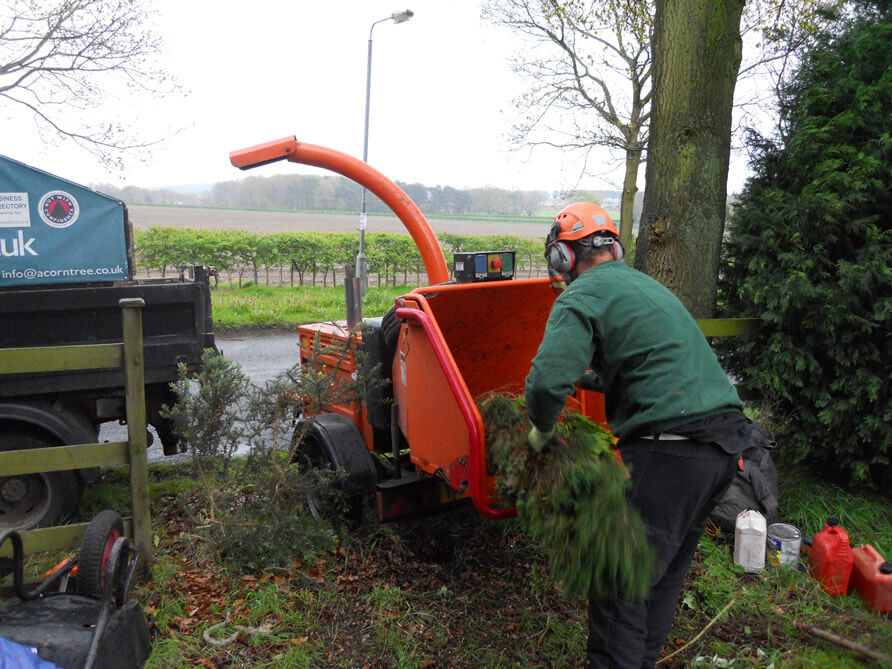 London, Business, Acorn Tree Services (Nottingham) Ltd