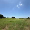 THB 29000000,  6 BR,  3869 Sq. Feet,  []ขายด่วน] ที่ดินแปลงใหญ่ 9 ไร่กว่า ติ