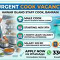 Male Cook South Indian Or North Indian